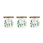 Green Leaves Tea, Coffee & Sugar Canisters Set - Kitchen Medium Enamel Jar Gift