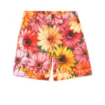 Dolce & Gabbana Gerbera Floral Shorts Orange | Orange | 10 years