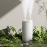 Humidificateur, Mini Humidificateurs Portable 4000 mAh, Humidificateur d'Air Bébé, Deux Ports de Brume, Arrêt Automatique, Humidificateur d'Air