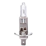 Iwh IWH Ampoule halogène H1 pour phare, 12 V, 55 watts