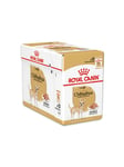 Royal Canin Chihuahua Adult 12 x 85 G