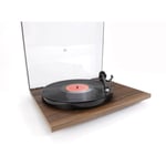 Rega Planar 1 Noyer Carbon MM