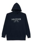 Tommy Hilfiger Men's Bt-big Hilfiger Hoody-b Mw0mw37916 Pullover Hoodie, Blue (Desert Sky), XXL