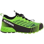 Chaussures Scarpa  Baskets Ribelle Run Homme Green Flash