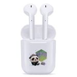 Wireless Headphone, Bluetooth Earphone Noise Canceling Earphones V5.0 Stereo IPX5 Waterproof Headphones Sport Bluetooth Earphones in Ear with Mini Charging Case,Summer Panda,4.3 * 2 * 5.6cm