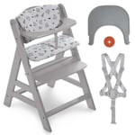 hauck Chaise Haute Bébé Evolutive Bois Alpha Plus, dès 6 Mois, Inclus Plateau Bebe Repas Click Tray, Coussin Assise, Harnais 5 Points - Gris Nordique