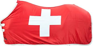 HKM 70167902.0021 Drapeau Sueur Flag Swiss