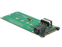 Delock Converter U.2 SFF-8639 / SFF-8643 NVMe > 1 x M.2 Key M - grensesnittsadapter - M.2 Card - SAS 6Gb/s  U.2