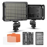 Neewer 176-LED Dimmable Light Panel with 2 x 2600 mAh Lithium Battery, Dual USB Battery Charger for Canon Nikon Digital SLR etc. for Video Recording in Photo Studio