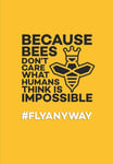 #FLYANYWAY: Because Bees Dont Care What Humans Think Is Impossible the New