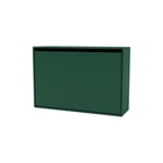 Hide Shoe Cabinet, 136 Pine