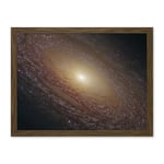 Artery8 Hubble Space Telescope Image Spiral Galaxy NGC 2841 Blue Pink Emission Nebula Starbirth Region And A Majestic Disk Of Stars And Dust Lanes Artwork Framed Wall Art Print 18X24 Inch