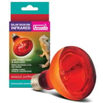 Arcadia Infrared Solar Basking Spot Reptile Heat Lamp (e27) Vivarium Light Bulb