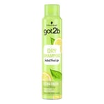 Shampooing sec Got2b Extra Schwarzkopf 4076451 200 ml