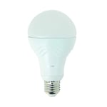 Ampoule LED A60 Globe Culot E27 - Ampoule LED E27 Angle D'Éclairage 180°- Ampoules LED 14W Équivalant 100W - Ampoule E27 LED Blanc Froid 1521 Lm - Eclairage LED Lumière Blanc Froid - ME1521GPW Xanlite