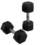 Hexagonal Dumbbells Kit Weight Lifting Exercise for Home Fitness 2x10kg