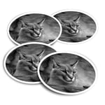 4x Round Stickers 10 cm - BW - Caracal African Lynx Cat  #38979