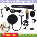 Home Studio Recording Kit Podcast Music Mixer Equipment Condenser Microphone Set