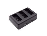 CoreParts Charger for GoPro Camera 