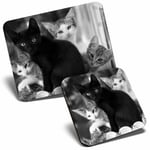 Mouse Mat & Coaster Set - BW - Cute Kittens Black Tabby Ginger Cat  #43908