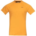 Bergans of Norway Y LightLine Merino Tee Men