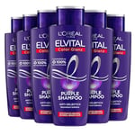 L'Oréal Paris Elvital Shampooing pour cheveux blonds, méchés, gris, neutralisant les tons jaunes, Color Brillance Purple Silver Shampooing anti-jaunissement, 6 x 200 ml