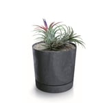 Botle Pot De Fleur Rond Anthracite Plastique Beton Effect Cache Pot 19,6 Cm Decoratif Bac A Plantes Avec Soucoupe Fleurs