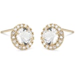 Lily and Rose Stella earrings - Crystal (Gold)