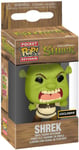 Porte-Clé Scary Shrek / Shrek / Funko Pocket Pop