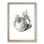 Big Box Art Apple by Jean Bernard Framed Wall Art Picture Print Ready to Hang, Oak A2 (62 x 45 cm)