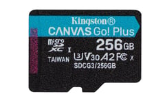 Kingston Technology Carte microSDXC Canvas Go Plus 170R A2 U3 V30 de 256 Go san