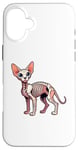 iPhone 16 Plus X-ray Sphynx Body Anatomy Radiography Skeleton Case