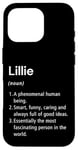 Coque pour iPhone 16 Pro Lillie Définition du nom Dictionnaire amusant