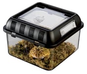 Exoterra Transport pour Reptile Breeding Box S