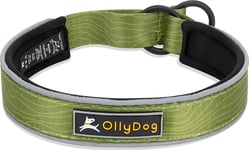 OllyDog OllyDog Martingale Reflective Comfort Collar Cactus S, Cactus