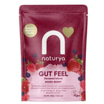 Naturya Mixed Berry Gut Feel Flaxseed Blend - 240g