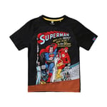 Superman Boys Raglan T-Shirt - 4 Years