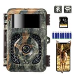 K&F CONCEPT Caméra de Chasse Nocturne 4K WiFi Infrarouge Invisible pour Observation d'animaux Sauvages IP66 Etanche Intervalle + 8 Piles Alcalines AA 1,5V + 64G Carte Micro SD A1 U3 V30