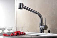 Kitchen Faucet With Shower Blue Water Laura Chrome