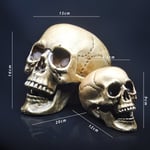 Skull Decor Prop Skeleton Head Muovi 1:1 Malli Halloween Style Haunted House Party Kodinsisustus Pelitarvikkeet Korkealaatuiset