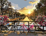 LUOYCXI DIY digital painting adult kit canvas painting bedroom living room decoration painting landscape small river bicycle on bridge-30X40CM