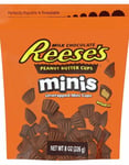 Reese’s Mini Peanut Butter Cups Unwrapped - Stor Påse 185 Gram (USA Import)