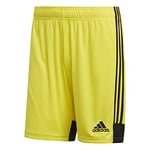 adidas Men's Short Tastigo 19, Byello/Black, XS