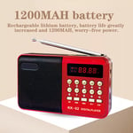 UK Mini Portable LCD Digital FM Radio Speaker USB SD TF Card Mp3 Speaker Player