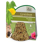 JR FARM Grainless Cloche à Foin Hibiscus 125 g