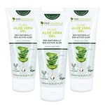 PraNaturals Pure Aloe Vera Gel 200ml – Soothing & Hydrating, Rich in vitamins, for bug bites and minor burns, For all skin types, Cruelty-free & Vegan (Pack of 3)