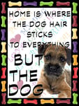 Shawprint Border Terrier Dog Fridge Magnet 100mm x 75mm HOME IS WHERE THE DOG HAIR STICKS TO EVERYTHING BUT THE DOG Novelty Gift