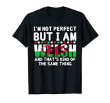 I'm Not Perfect But I Am Welsh Funny Proud Welsh Flag Outfit T-Shirt