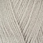 Stylecraft 9041805 Fil spécial DK Gris chaud (1805) – 100 g