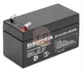 Europower Maintenance-Free Agm 1.2Ah 12V Battery Europower Ep 1.2-12